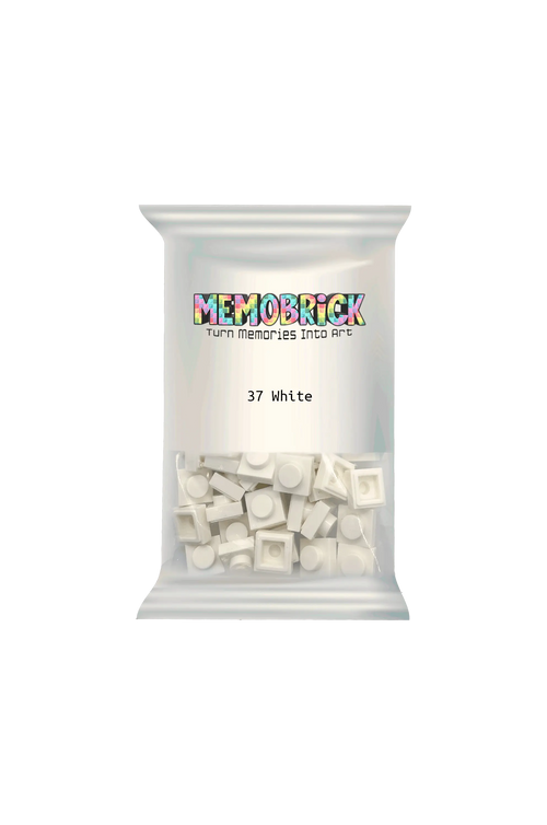 Bag of Bricks - White 37 - Memobrick