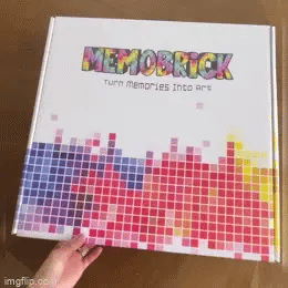 The MemoBrick kit arriving in its box, ready to build